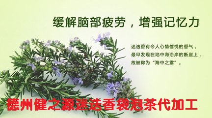 緩解腦部疲勞 預(yù)防脫發(fā)的好茶--迷迭香茶